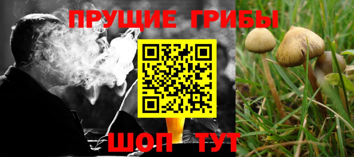 Галлюциногенные грибы мухоморы Мелеуз